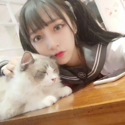 黎明飞驰官方下载